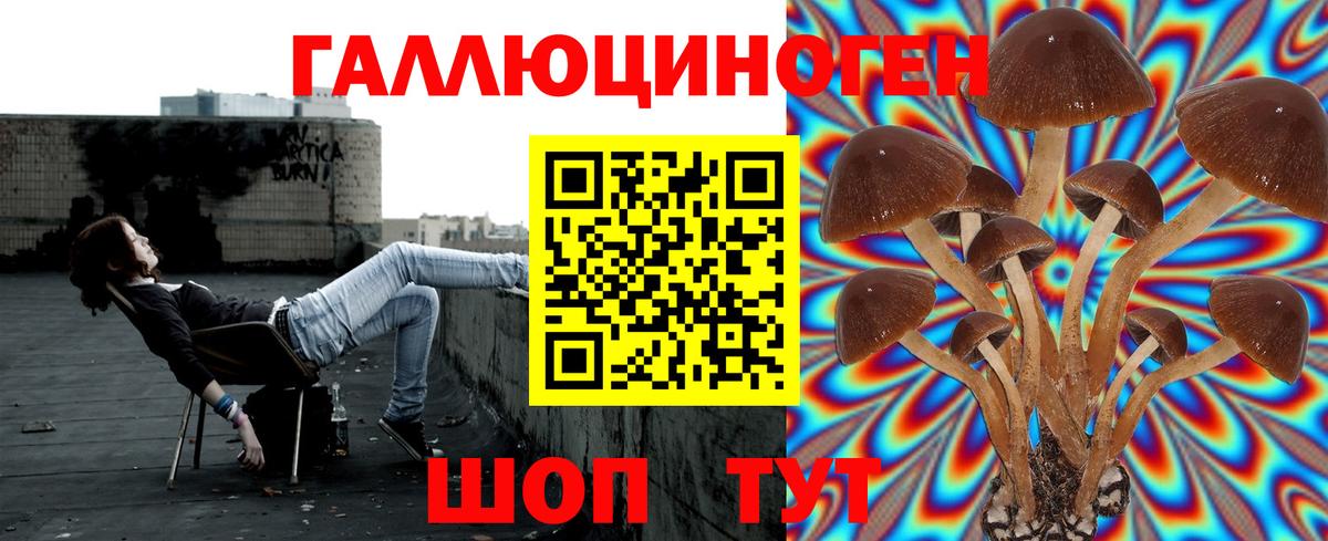 Кировск  Галлюциногенные грибы GOLDEN TEACHER  Вход с VPN  Псилоцибиновые грибы Magic Shrooms 